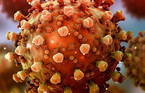 شناسایی 64 بیمار جدید مبتلا به کرونا در 24 ساعت گذشته در کردستان شناسایی 64 بیمار جدید مبتلا به کرونا در 24 ساعت گذشته در کردستان