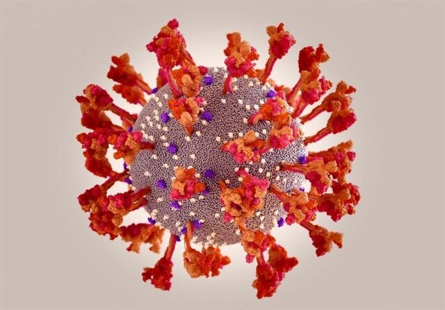 کاهش آمار مرگ و میرهای کرونا در کردستان کاهش آمار مرگ و میرهای کرونا در کردستان