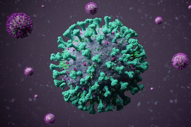 شناسایی 8 بیمار جدید مبتلا به کرونا در کردستان شناسایی 8 بیمار جدید مبتلا به کرونا در کردستان