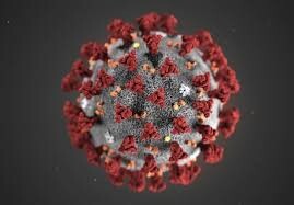 شناسایی 1 بیمار جدید مبتلا به کرونا در کردستان