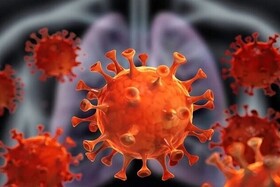 روزهای بدون کرونا در کردستان