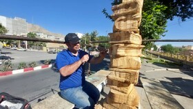 پیکرتراشی درختان بی جان در سنندج/درختان بی جان سطح شهر جان می گیرند