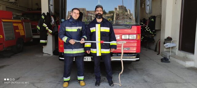 ۲۹ حلقه مار در سنندج زنده گیری شد