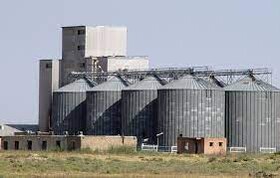 انجام بیش از 6 هزار بازرسی از واحدهای عرضه محصولات کشاورزی در کردستان