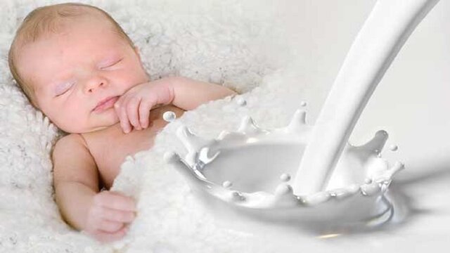 ۴۸ درصد از تغذیه انحصاری کودکان در کردستان با شیر مادر است