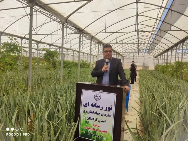 مریوان؛ آغاز یک نهضت گلخانەای در کردستان