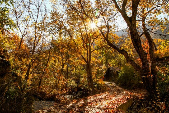 سفری رویایی در دل پاییز