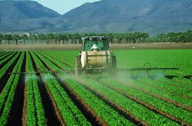 سنددار شدن ۵۲ درصد اراضی کشاورزی استان مرکزی/بهره‌برداری از ۴۴ واحد صنایع تبدیلی در سال گذشته