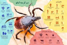 کردستانی‌ها خطر تب کریمە کنگو را جدی بگیرند