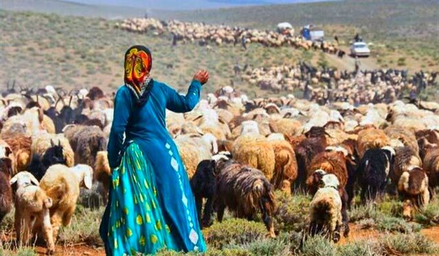 جدال "هوارنشینان" کردستان با مشقتهای زندگی عشایری