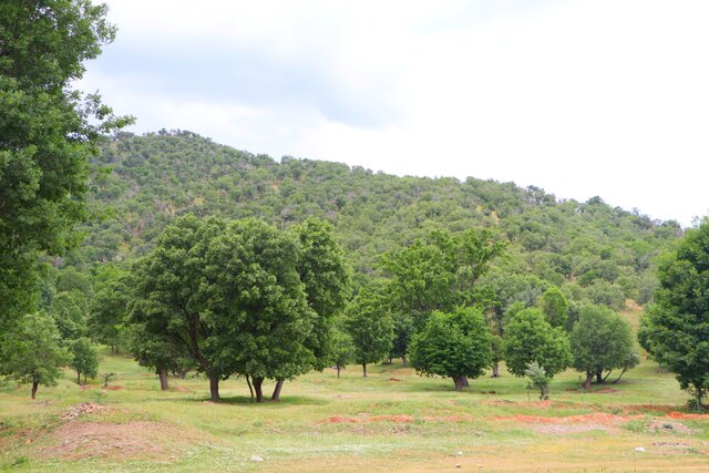 یک شهر و هزار جاذبە ایران کجاست؟