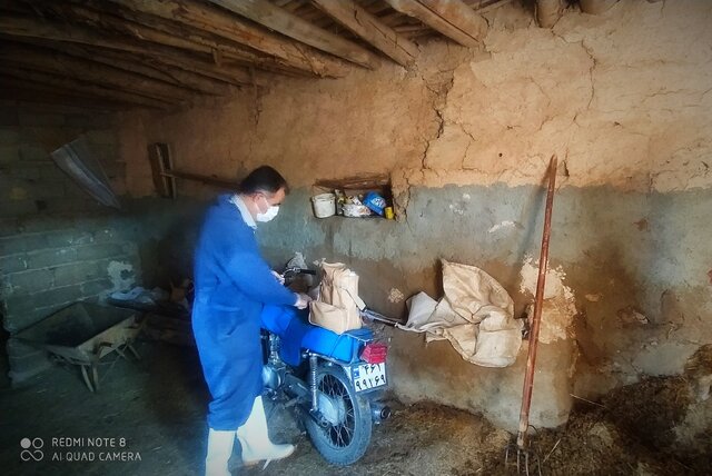 واکسیناسیون دام علیە بیماری؛ حرکتی بە سبک جهادی