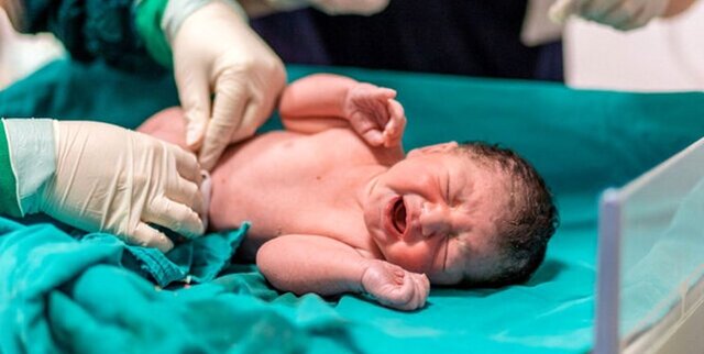 باروریِ ناباروری