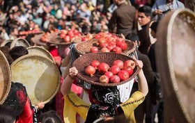 کردستان؛ سرچشمە انارهای یاقوتی کشور