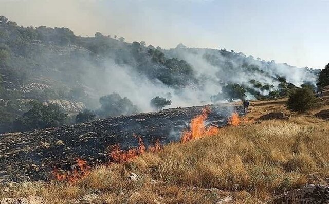 آتش سوزی در ۱۰۰۰ هکتار از مراتع و جنگل‌های بدر و پریشان قروە