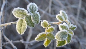 تداوم سرما و یخبندان در کردستان/ ثبت دمای منفی ۱۳ درجه برای برخی از نقاط استان