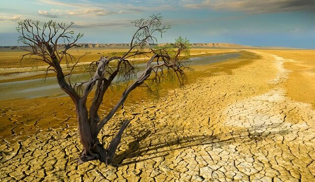 کردستان در جدال با کمآبی، از کاهش بارندگی تا ضرورت تغییر الگوی کشت