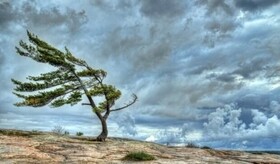 بارش‌های رگباری و وزش باد کردستان را فرا می‌گیرد