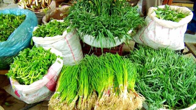 ارمغان بهار بر سفره‌های شفابخش کردستانی‌ها