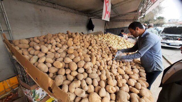 بازار ملتهب سیبزمینی در کردستان/ از وعده ۲۵ هزار تومانی تا قیمت ۵۰ هزار تومانی سیبزمینی در بازار