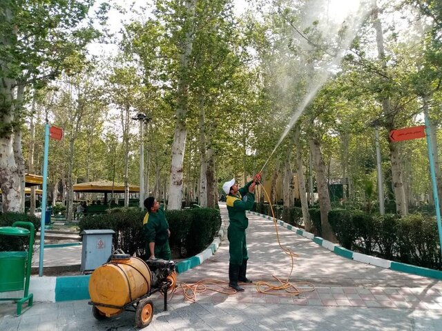 عملیات محلول پاشی بهاره درختان در سنندج آغاز شد