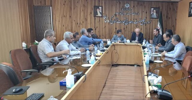 فرش کردستان در مسیر احیا/ از تشکیل خوشه فرش تا رونق تولید و صادرات