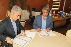 زبان علم و دانش، راهی برای تثبیت فرهنگ صلح و آشتی در جامعه است