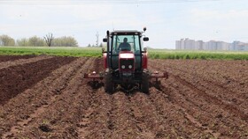 آغاز کشت پاییزه در کردستان با تأمین نهاده‌های مورد نیاز کشاورزان