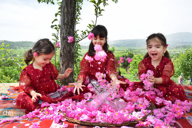 ثبت جشنواره گلاب‌گیری بانه در تقویم ملی کشور