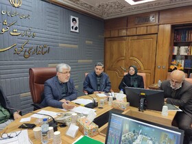 معاون استاندار کردستان تاکید کرد: لزوم تسریع واردات کالاهای اساسی برای تأمین نیازهای مردم