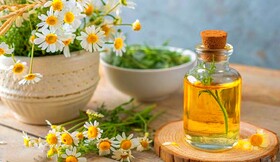 بابونە؛ یک گیاە و هزار خاصیت