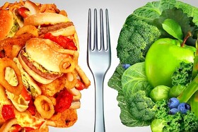 نسبت به میزان نیترات و نیتریت موجود در غذای خود آگاە باشید