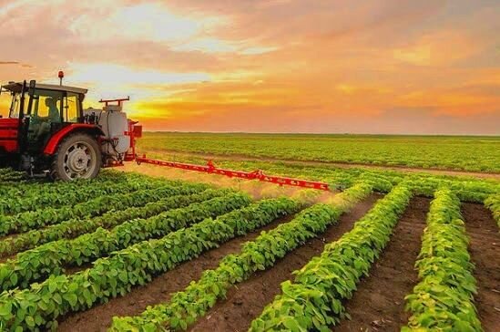 رئیس جهاد کشاورزی کردستان: طرح‌های کشاورزی نقش مهمی در امنیت غذایی و توسعه پایدار دارند