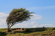 وزش باد ظهرگاهی در زنجان