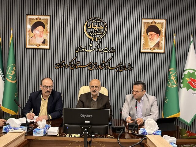 سال زراعی جاری در غرب کشور با ریسک بالای سن‌زدگی گندم مواجه است