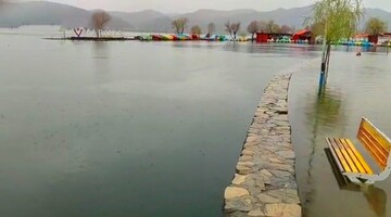 جلوەگری بهار در زریبار/ وقتی بارش‌های بهاری دریاچە را لبریز می‌کند