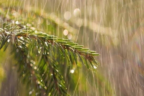 النینو تنها احتمال بارش را در خراسان رضوی تغییر میدهد