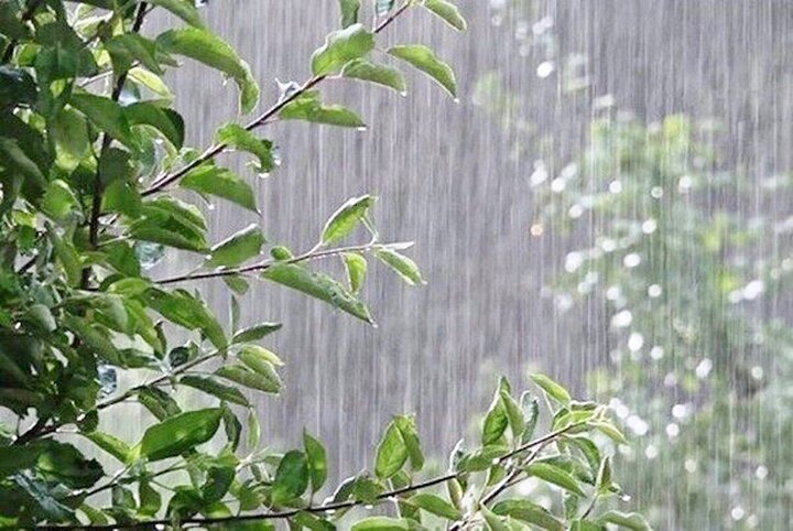 تشدید بارش‌های رگباری در نیمه غربی و شمالی استان کردستان