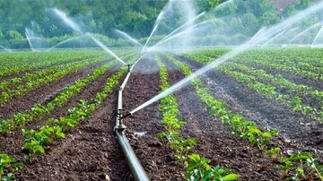 ۲۶۰۰۰ از اراضی کردستان بە سیستم نوین  آبیاری مجهز هستند