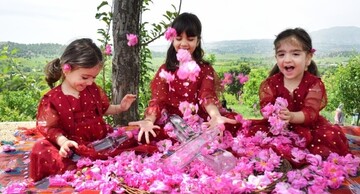 سومین جشنواره گلاب‌گیری با محوریت معرفی گردشگری کشاورزی در بانە برگزار می‌شود