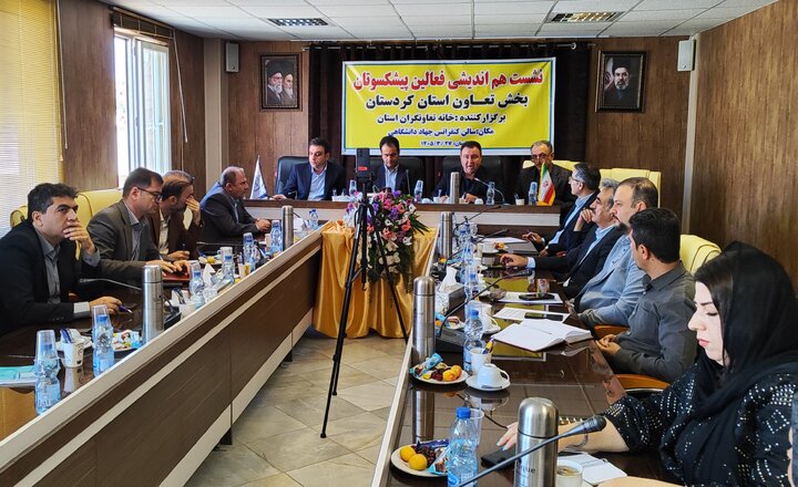 مشکل اصلی بخش تعاون، شکاف میان قانون و اجراست