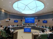 هر ۱۰ شهرستان کردستان در رشته کونگ‌فو فعال هستند