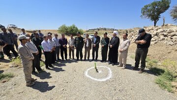 آغاز طرح آبخیزداری «آبخیز تا جالیز» در بیجار
