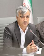 فرماندار سنندج: کوتاهی در اجرای مصوبات، موضوع سگ‌های بلاصاحب را به بحران اجتماعی تبدیل کرد