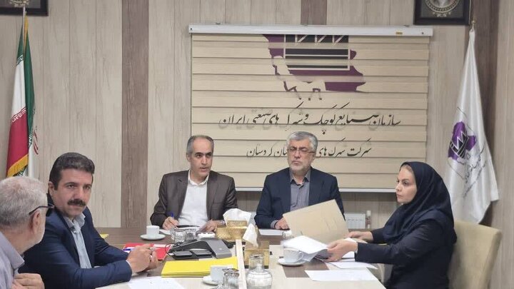 معاون استاندار: اراضی صنعتی راکد کردستان به چرخه تولید بازگردانده می‌شوند