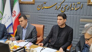 استاندار کردستان: حمایت از شرکت‌های دانش‌بنیان باید افزایش یابد