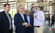 زنجیره تولید بذر کردستان با بهره‌برداری از واحد ۱۵۰۰ تنی سقز تقویت شد