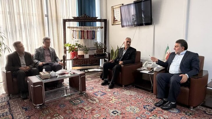 سرپرست مرکز ملی فرش ایران: «خوشه صنعتی فرش دستباف» در کردستان اجرا می‌شود
