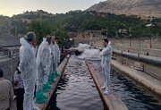 طرح ملی پایش بیماری‌های باکتریایی در مزارع پرورش ماهی کردستان اجرا می‌شود