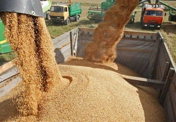 فضای ذخیره‌سازی نهاده‌های دامی در کردستان افزایش می‌یابد